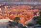 bryce%20canyon%201.jpg