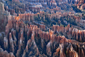 bryce%20canyon%202.jpg
