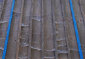 fotogalerie%20mk028015.jpg