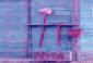 fotogalerie%20mk028019.jpg