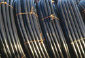 fotogalerie%20mk028020.jpg